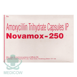 ノバモックス アモキシシリン(250mg) 90錠